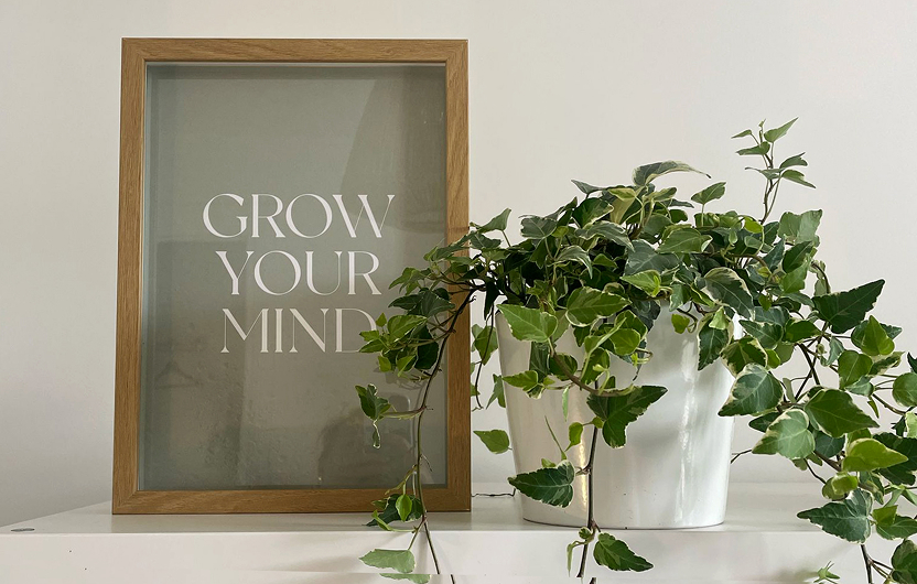 Une plante en pot est posé devant un cadre en bois dans lequel on peut lire 'grow your mind'